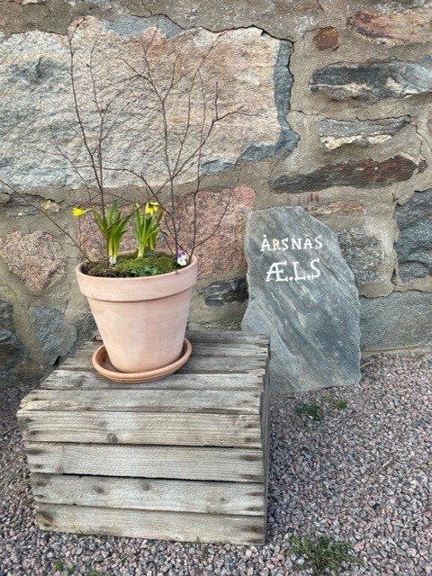 Gårdsägg